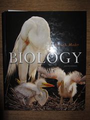Biology  Биология